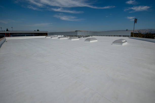 Best Flat Roofing  in Minnetonka, MN