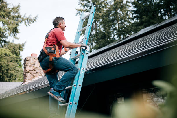 Professional Roofing service in Minnetonka, MN